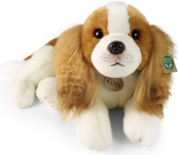 Ανακυκλωμένο υλικό