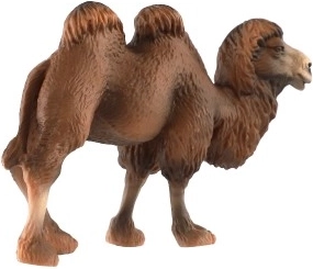 Ανθεκτικό υλικό και ιδανικό μέγεθος 12 cm