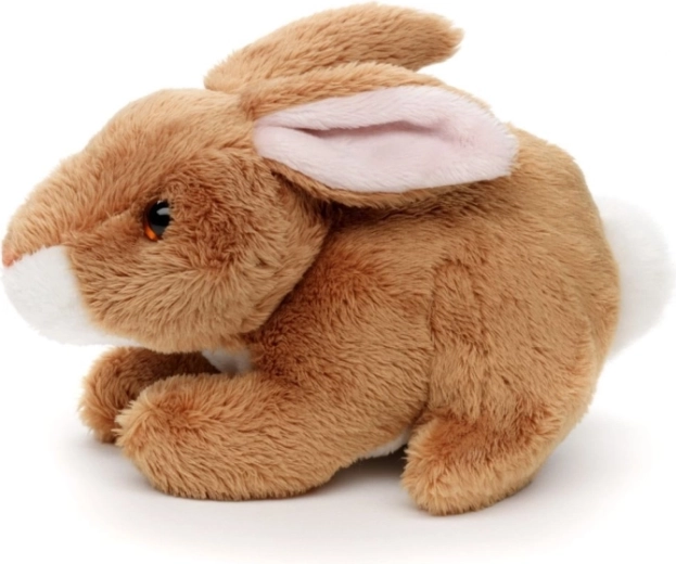 Ιδανικό μέγεθος για μικρά χεράκια