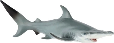 Πιστή απεικόνιση του μεγάλου σφυροκέφαλου