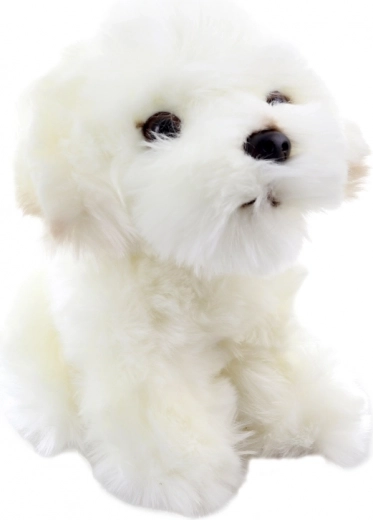 Ρεαλιστικές λεπτομέρειες ενός χαριτωμένου κουταβιού