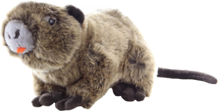 Eco-friendly υλικά