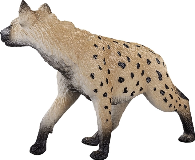 Πολυχρηστική εφαρμογή