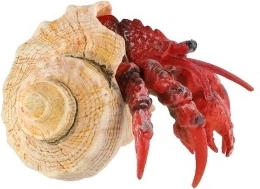 Ρεαλιστική απόδοση μέχρι την τελευταία λεπτομέρεια