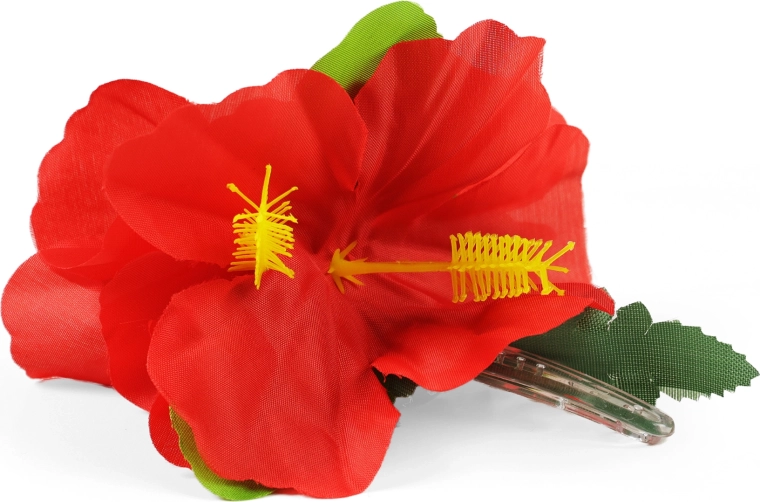 Τροπική πινελιά