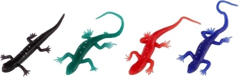 Ποικιλία χρωμάτων