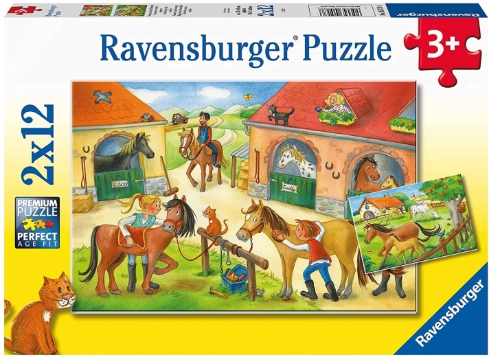 Ποιότητα RAVENSBURGER για εύκολη συναρμολόγηση