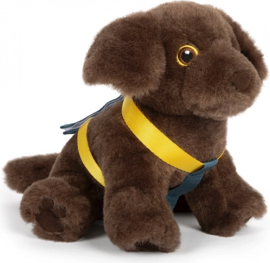 Λούτρινος σκύλος με σαμαράκι