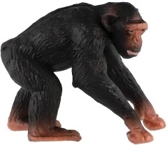 Εκπαιδευτική αξία