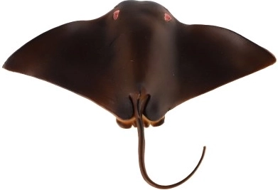 Εκπαιδευτικό και διακοσμητικό