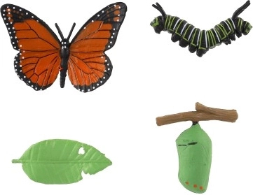 Ρεαλιστικά μοντέλα