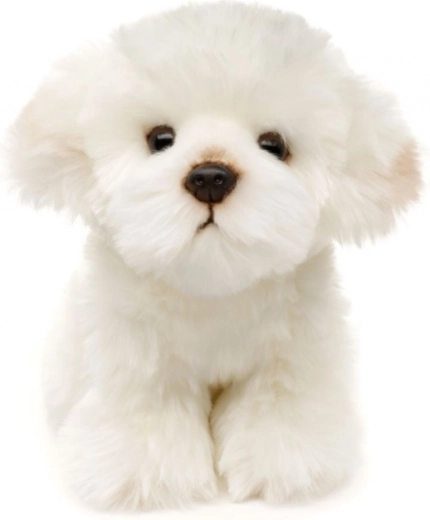 Eco-friendly και ασφαλής κατασκευή