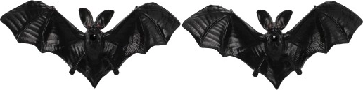 Πολυχρηστική χρήση