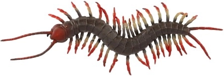 Ρεαλιστική εμφάνιση που διασκεδάζει