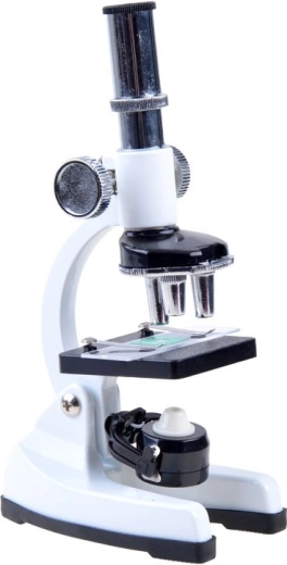 Υψηλή μεγέθυνση