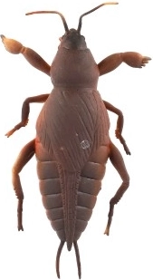 Υπερ-ελαστικό και τεντώσιμο υλικό