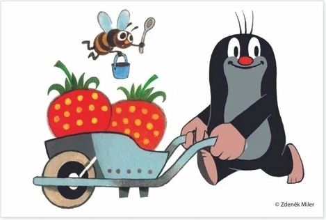 Ποιοτικό ξύλο και τσεχική κατασκευή