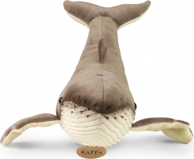 Ρεαλιστική εμφάνιση