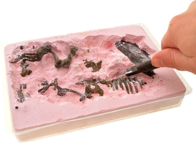 Εκπαιδευτική διασκέδαση για παιδιά