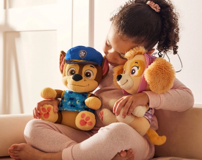 Αγαπημένοι χαρακτήρες PAW PATROL