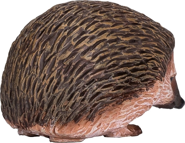 Εκπαιδευτικός σκοπός