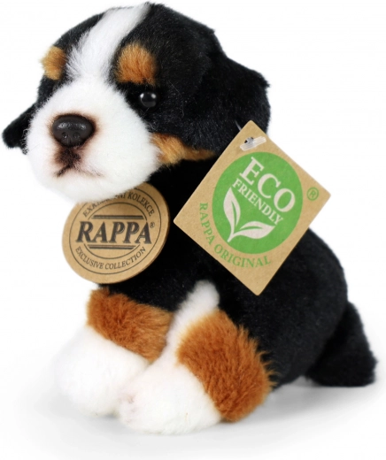 Ποικιλία ειδών