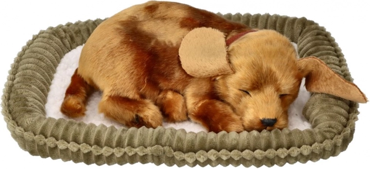 Ρεαλιστικός ύπνος και απαλή αναπνοή