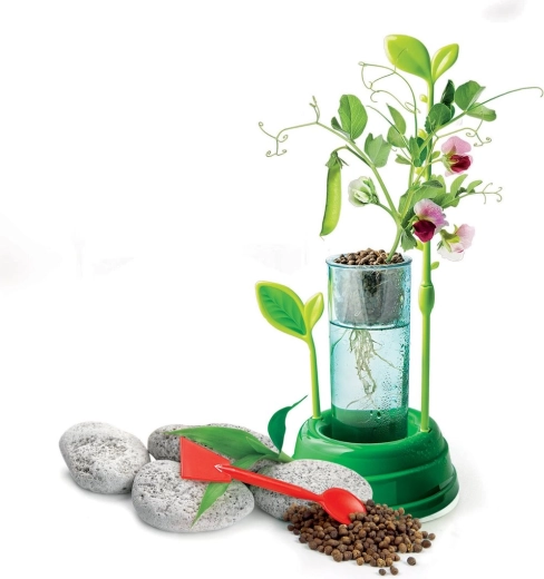 Διαφανές δοχείο για παρακολούθηση ριζών