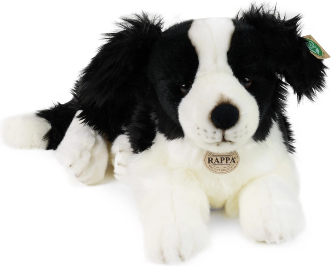 Οικολογική γέμιση