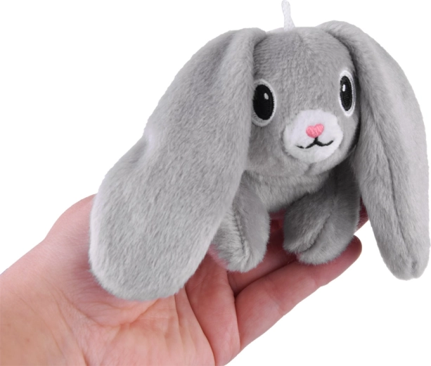 Πολυχρηστική χρήση