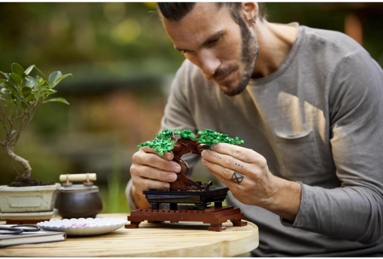 Διακοσμητική και ρεαλιστική εμφάνιση