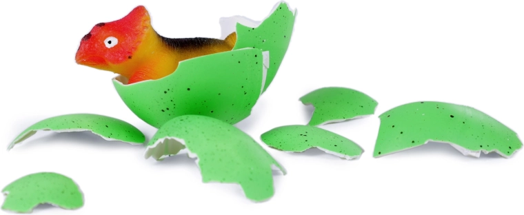 Μαγική εκκόλαψη μπροστά στα μάτια σου