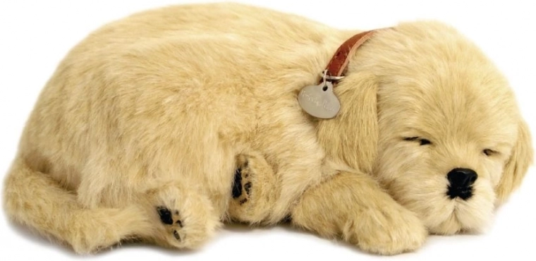 Ρεαλιστική αναπνοή και ήσυχος ύπνος