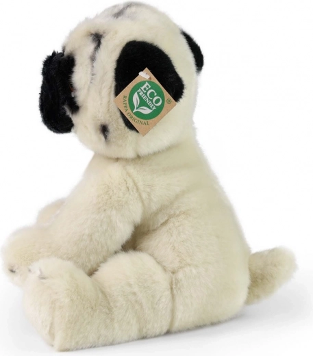 Ασφαλές από 0+