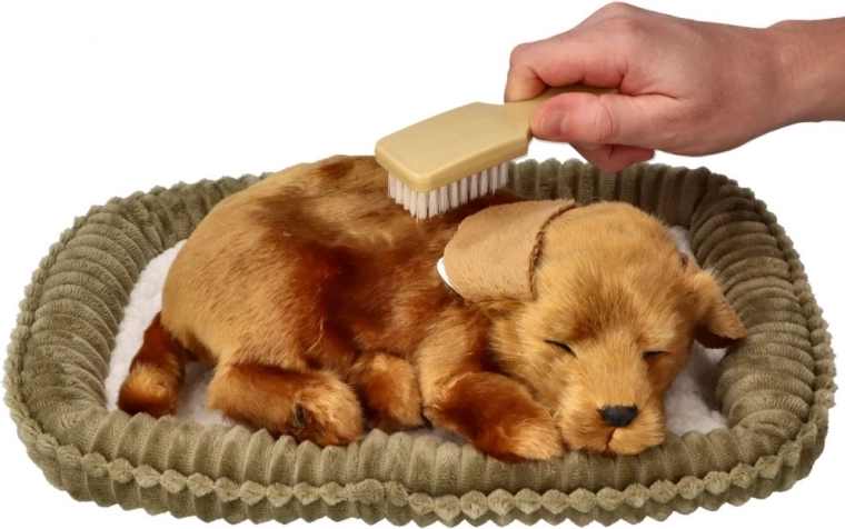 Διαδραστική φροντίδα χωρίς έγνοιες