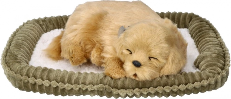 Περιλαμβάνεται απαλό κρεβατάκι