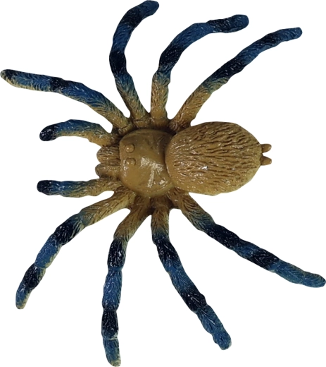 Εκπαιδευτική χρήση