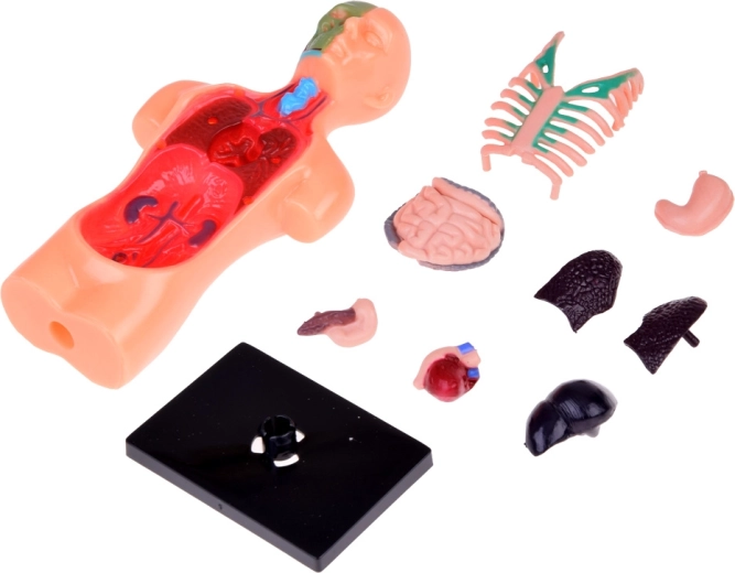 Αφαιρούμενα όργανα για διαδραστική διδασκαλία