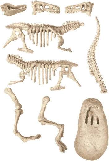 Σκάψε και ανακάλυψε τον T‑Rex