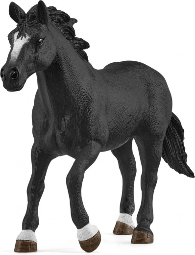 Εξαιρετικό άλογο Appaloosa