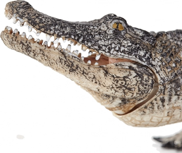 Συνεργασία με ειδικούς