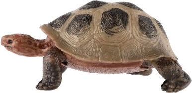 Συμπαγές μέγεθος