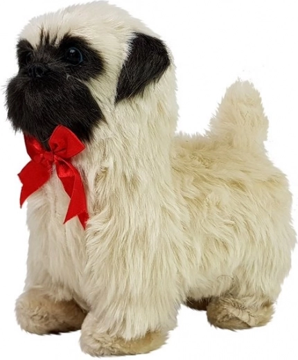 Απαλό λούτρινο και χαριτωμένη εμφάνιση