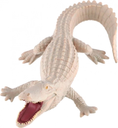 Εκπαιδευτική αξία για το σπάνιο χρωματισμό