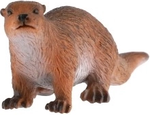 Εκπαιδευτικό βοήθημα για το μάθημα της φυσικής ιστορίας