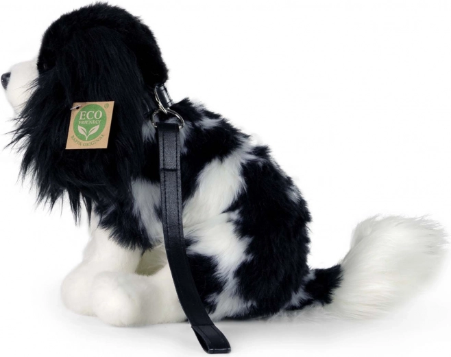 Λουρί για παιχνίδια βόλτας