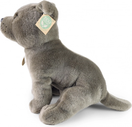 Οικολογική γέμιση