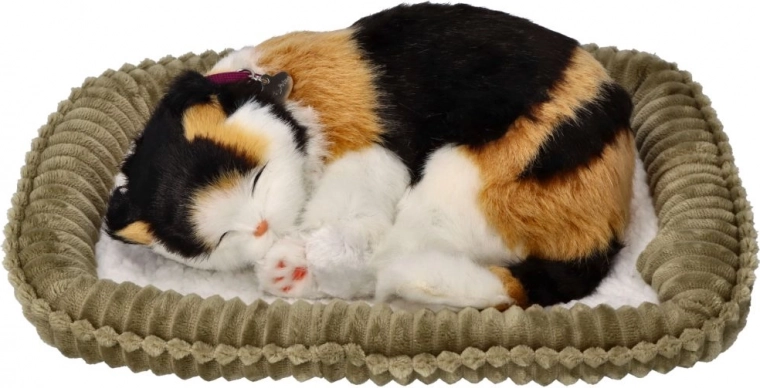 Απαλό κρεβατάκι για αγκαλιές και διακόσμηση