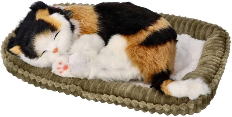 Ρεαλιστική αναπνοή και χαλαρωτικός ύπνος