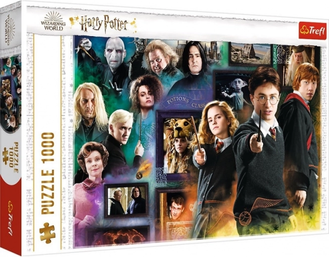 Λεπτομερές κολάζ χαρακτήρων από το HARRY POTTER